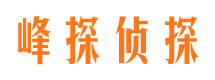 狮子山市侦探公司